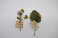 2x WHW Blumen (Plastik)