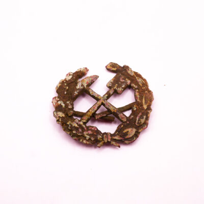 20251115-192711521 Unbekanntes (RAD?) Abzeichen Bodenfund