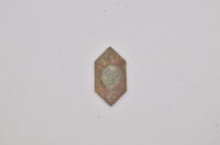 DSC_0210 VDA Mitgliedsabzeichen Bodenfund