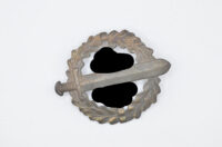 DSC_0214 SA Sportabzeichen in Bronze "Redo"