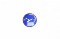 DSC_0598 Segelfliegerabzeichen Stufe "A"