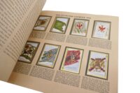 Historische Fahnen (Sammelbilder) Album im Schuber